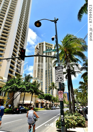 ハワイの休日 ハワイの休日 87994923