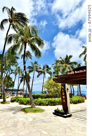 ハワイの休日 87994925