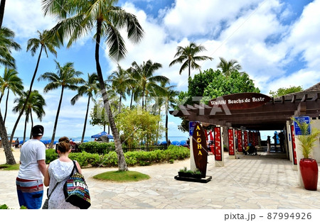 ハワイの休日 87994926