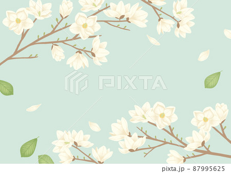Spring Flower Background Magnolia Frame のイラスト素材