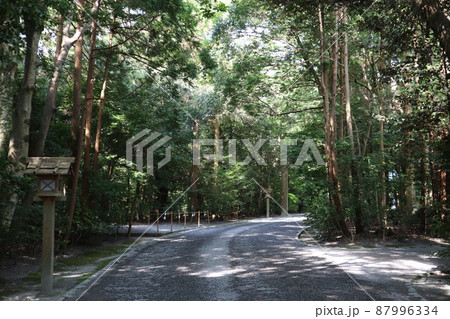 森の参道_外宮_伊勢神宮 森の参道_外宮_伊勢神宮 87996334