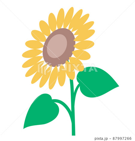 シンプルひまわり 87997266
