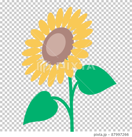 シンプルひまわり 87997266