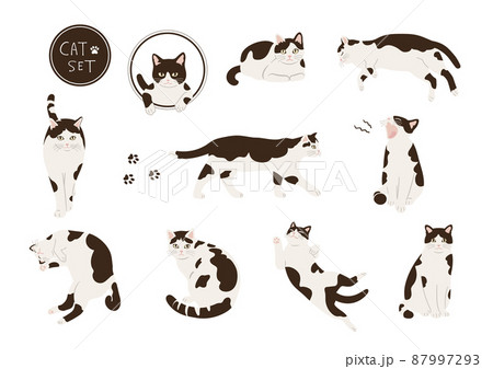 白黒猫のイラストセット 87997293