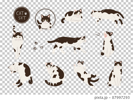 黑白貓插圖集 黑白貓插圖集 87997293