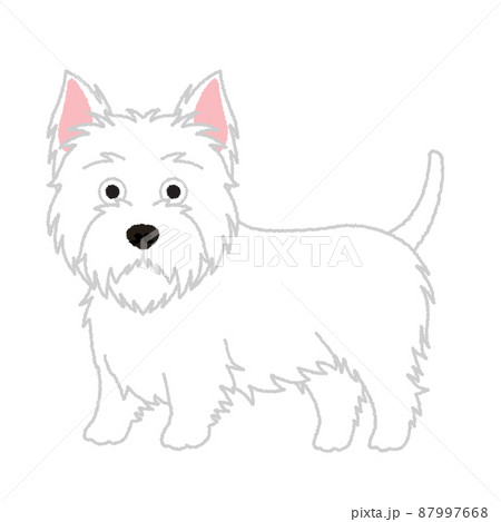 ウエストハイランドホワイトテリアの犬イラスト 87997668