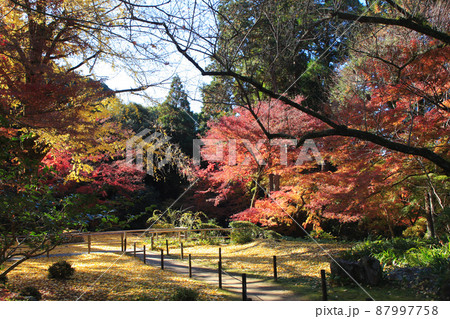 福岡県の低山「清水山」 紅葉の風景 福岡県の低山「清水山」 紅葉の風景 87997758