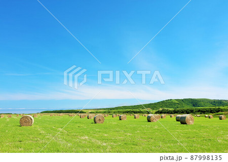 北海道　夏の青空と牧草ロール 87998135