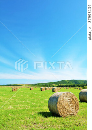北海道　夏の青空と牧草ロール 87998136