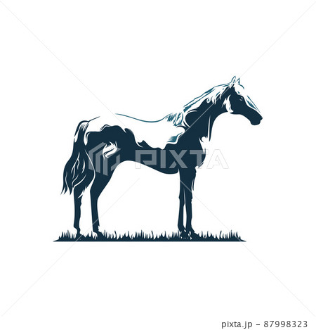 Horse Standing on Grass Side View Animal Farm Wildlife Silhouette Engraving Style Horse Standing on Grass Side View Animal Farm Wildlife Silhouette Engraving Style 87998323