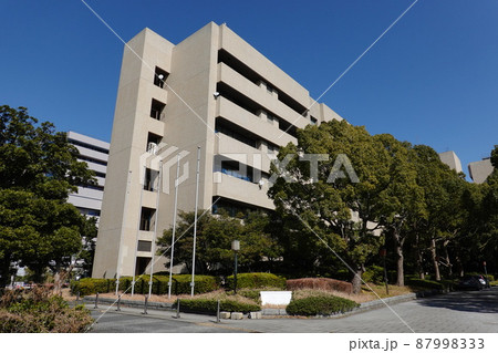 横浜市立大学医学部 87998333