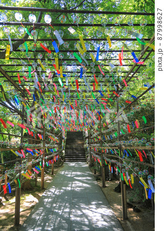 如意輪寺風鈴まつり 如意輪寺風鈴まつり 87998627