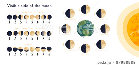 Moon phase, lunar cycle, synodic month. Lunary visible side. New and full moon, waxing and waning crescent, first and last quarter, gibbous. Astronomy, astrophysics. Vector flat cartoon illustration 87998988
