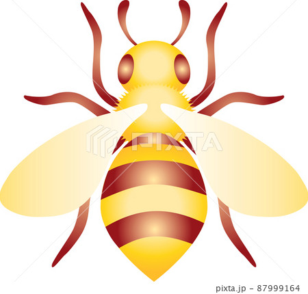 夏 虫 昆虫 蜜蜂 みつばち ミツバチ シンプル アイコン かわいい イラスト素材のイラスト素材