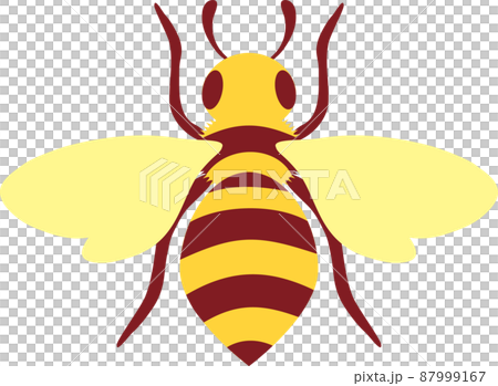 夏季昆蟲，昆蟲，蜜蜂，蜜蜂，蜜蜂，簡單的圖標，可愛的插圖素材 87999167