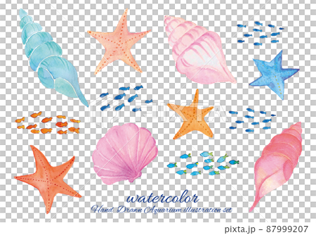 帶有水彩觸感的貝類和海星插圖素材集 帶有水彩觸感的貝類和海星插圖素材集 87999207