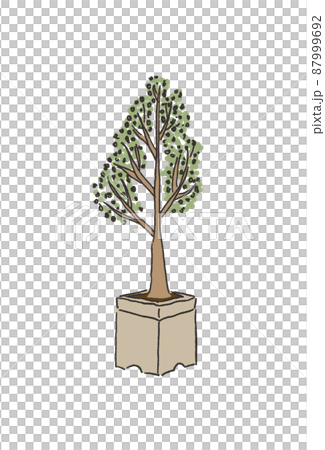 観葉植物 植木イラストのイラスト素材