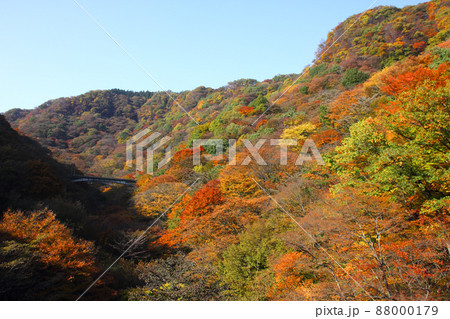 紅葉に包まれためがね橋は色とりどりで今が最高の時を迎え、秋の日帰り旅行は見所満載 紅葉に包まれためがね橋は色とりどりで今が最高の時を迎え、秋の日帰り旅行は見所満載 88000179