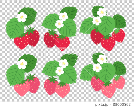 Strawberry illustration set (with leaves and flowers) 88000562