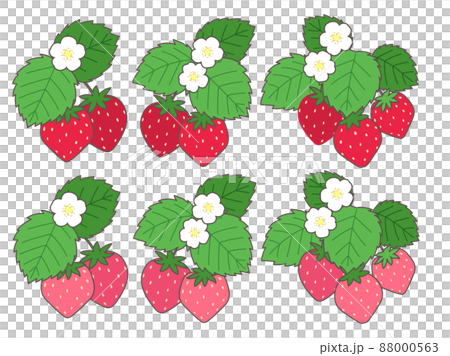 Strawberry illustration set (with leaves and flowers) 88000563