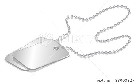 realistic empty personal military number badge on chain for soldier. 3D vector isolated on white background realistic empty personal military number badge on chain for soldier. 3D vector isolated on white background 88000827