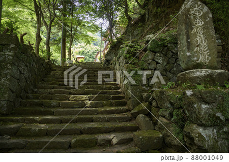 丹沢大山の古道 88001049