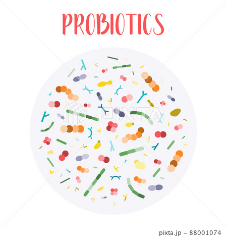 Probiotics. Lactic acid bacteria. Good bacteria and microorganisms for gut and intestinal flora health. Microbiome. Bifidobacterium, lactobacillus,  lactococcus, thermophilus streptococcus, 88001074