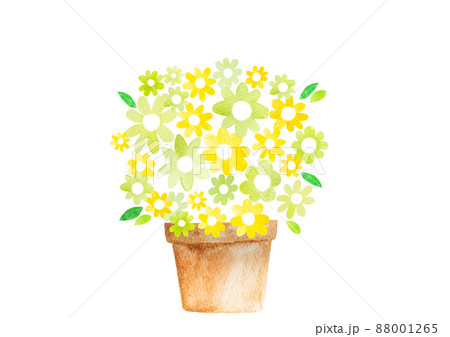 黄色の花 花鉢 水彩画のイラスト素材 黄色の花 花鉢 水彩画のイラスト素材