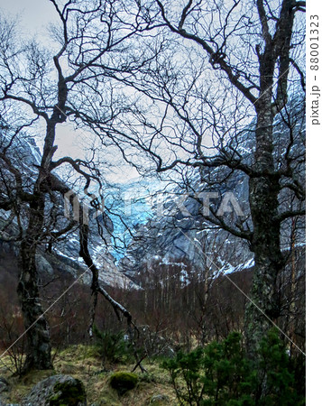 Briksdal glacier in Norway during winter 88001323