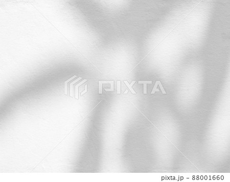 Gray shadow of the leaves on cement wall. Gray shadow of the leaves on cement wall. 88001660