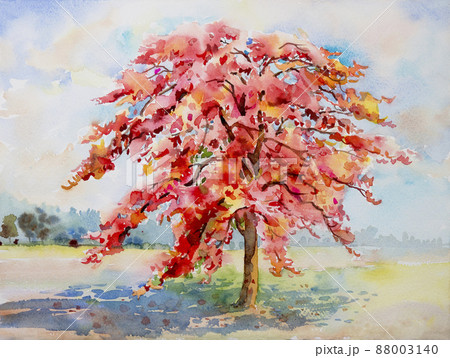 Abstract painting watercolor red peacock flower. Abstract painting watercolor red peacock flower. 88003140