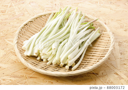 島らっきょう（沖縄 島野菜） 88003172
