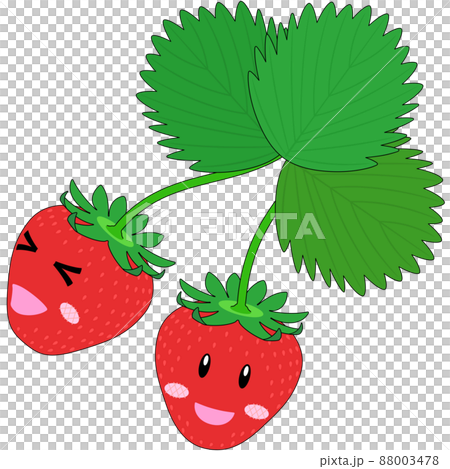 苺のキャラクターのイラスト(アウトラインあり) 苺のキャラクターのイラスト(アウトラインあり) 88003478