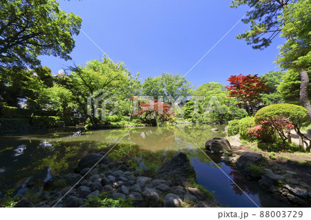 有栖川宮記念公園の緑4 88003729