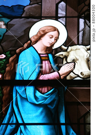 Virgin Mary, stained glass window in Basilica Assumption of the Virgin Mary in Marija Bistrica, Croatia 88004300