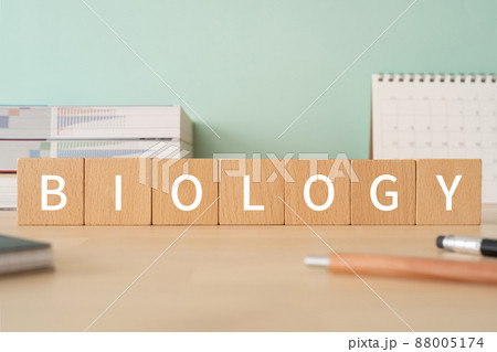生物学のイメージ｜「BIOLOGY」と書かれた積み木が置かれたデスク 88005174
