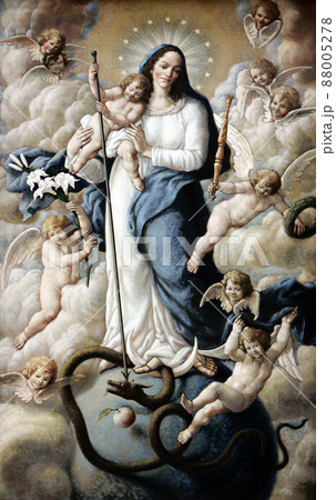 Assumption of the Virgin Mary 88005278