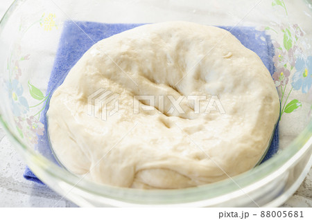 発酵したパン生地の空気抜き 88005681
