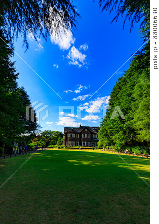 東京 北区 バラが咲き誇る旧古河庭園 東京 北区 バラが咲き誇る旧古河庭園 88006630