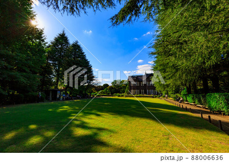 東京 北区 バラが咲き誇る旧古河庭園 東京 北区 バラが咲き誇る旧古河庭園 88006636
