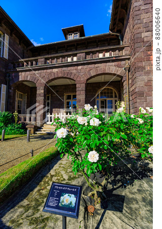 東京 北区 バラが咲き誇る旧古河庭園 東京 北区 バラが咲き誇る旧古河庭園 88006640