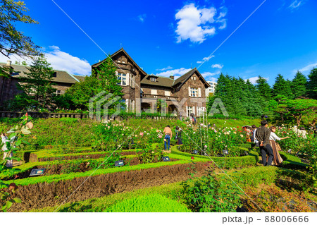 東京 北区 バラが咲き誇る旧古河庭園 東京 北区 バラが咲き誇る旧古河庭園 88006666