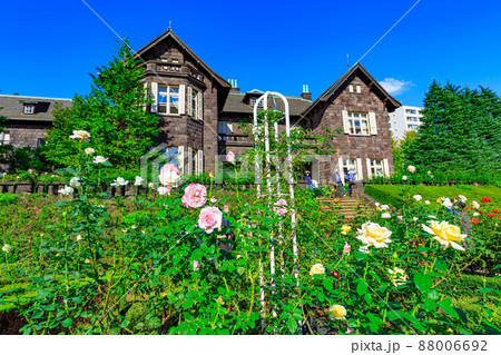 東京　北区　バラが咲き誇る旧古河庭園 88006692