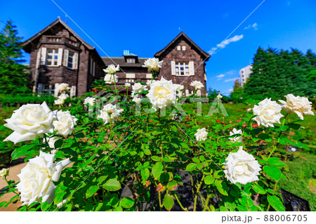 東京　北区　バラが咲き誇る旧古河庭園 88006705