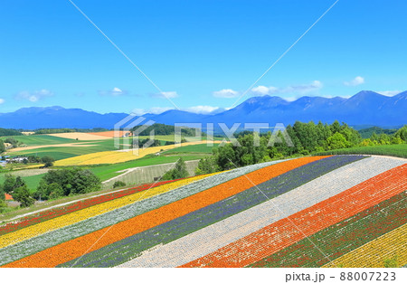 【北海道】晴天下の美瑛四季彩の丘 【北海道】晴天下の美瑛四季彩の丘 88007223