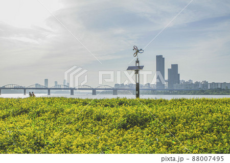 動作大橋 ソウル 漢江 88007495