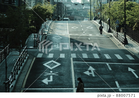 横断歩道 景色 道路 88007571