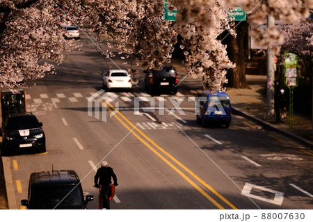 春 景色 風景 88007630