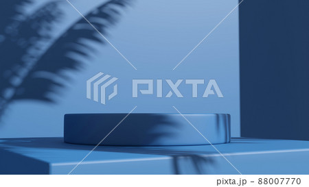 3d rendering box podium palm leaves with summer background. 3d rendering box podium palm leaves with summer background. 88007770