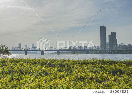 ソウル 漢江 動作大橋 88007821